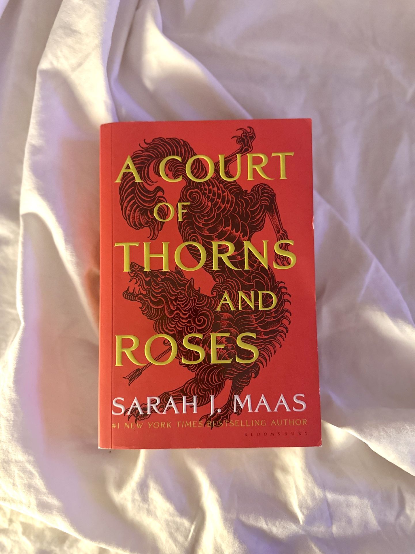 A Court of Thorns and Roses (Book)