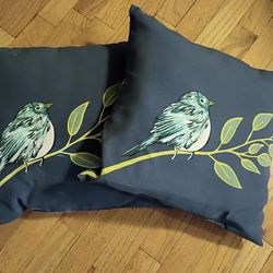 Outdoor Pillows - set of 2