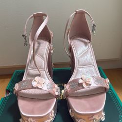 Size 7.5 Exclusive Wicked x Aldo Pink Heels
