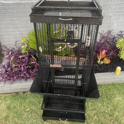 BIRD CAGE