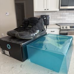 Jordan Retro 11 “Gamma”