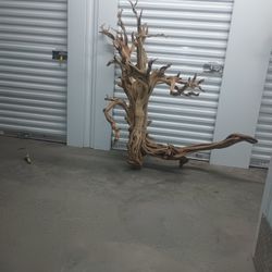 Home Decor Driftwood  Also Ideal For Aquarium Fish Tanks Very Large Piece 