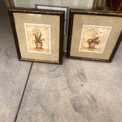 Frame Set