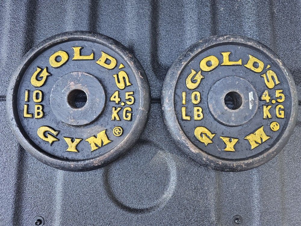 TWO Gold's Gym 10 Pound Weight Plates
