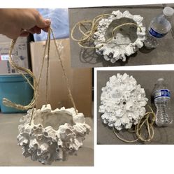Hanging Coral Planter