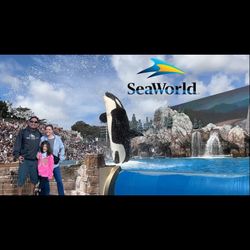4 Sea World San Diego Tickets Expire 9/30/25 Not Valid  May 25, July 5, July 12, July 19,  July 26,  And  August 31,