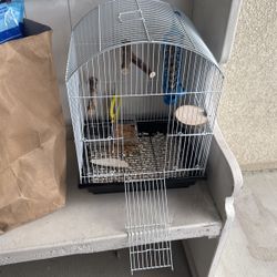 Small Bird Cage 