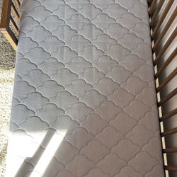 Newton Crib Mattress