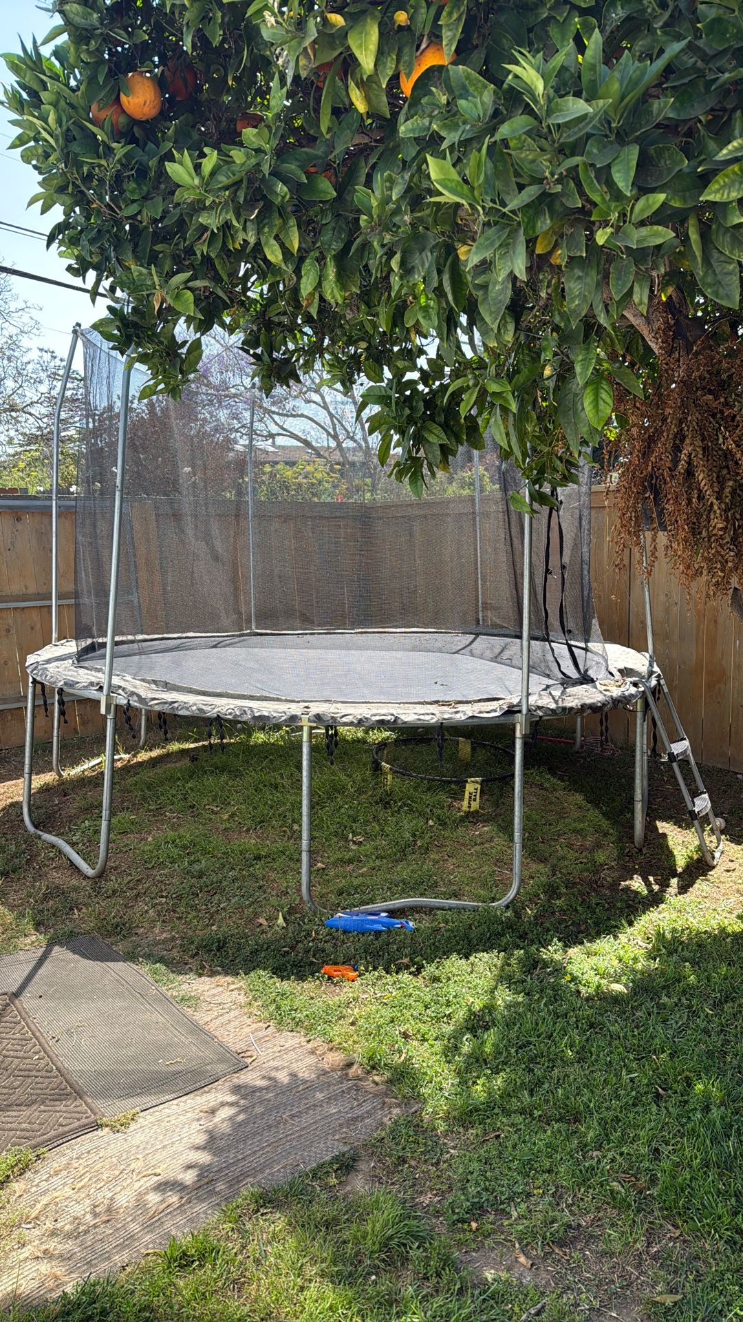 Free Trampoline