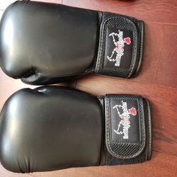 Boxing Gloves 