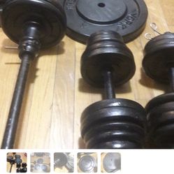 Sport  More Than  90 Lb 