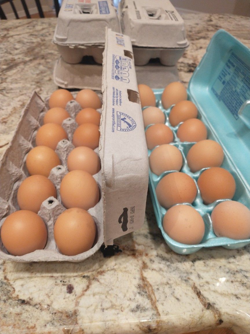 Fresh Eggs! Available Today! First Come First Serve! While Supply Lasts