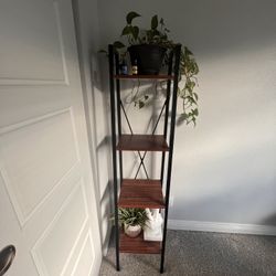 Tiered Ladder Shelf 