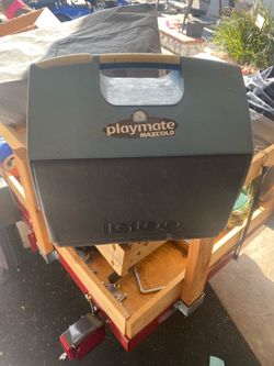 Small cooler or large lunch box