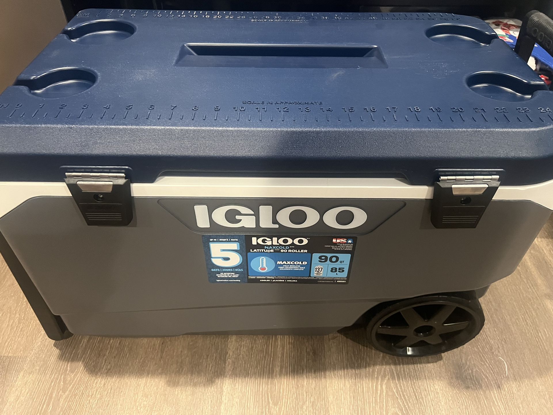 Igloo Cooler