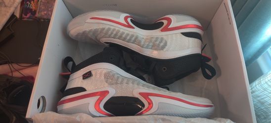 Jordan 36