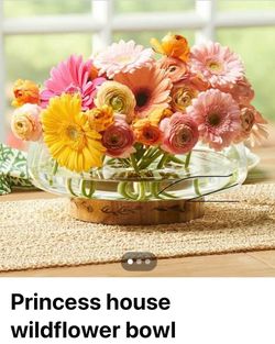 Princess House