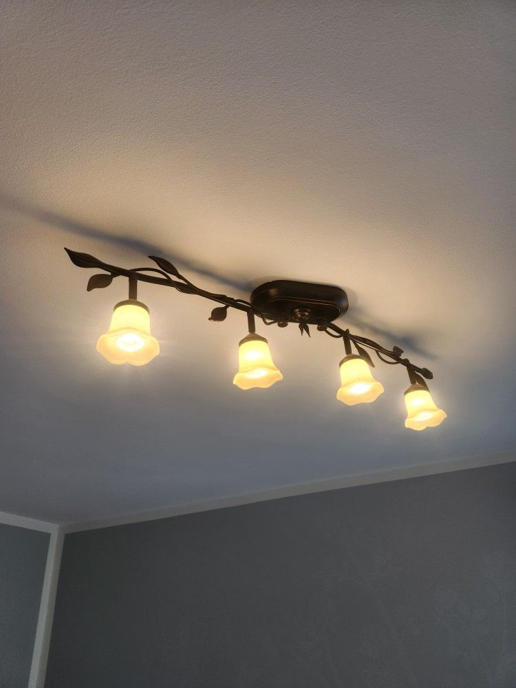 Light Fixture