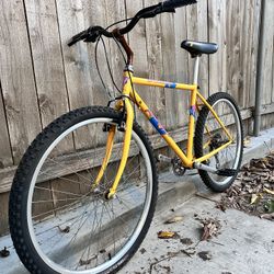 Rockhopper Mountain Bike