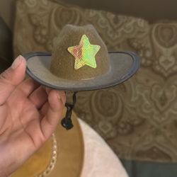 Cow Boy Hats 