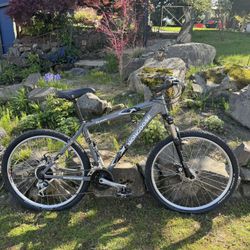 Mongoose mountain bike