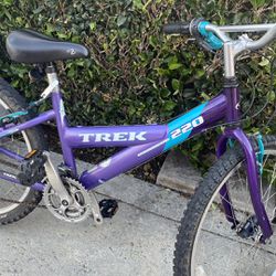 Girls Trek Mountain Bike 