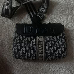 Christian Dior Purse 