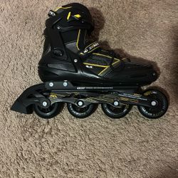 Roller Blades