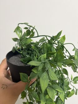 Fake hanging plant