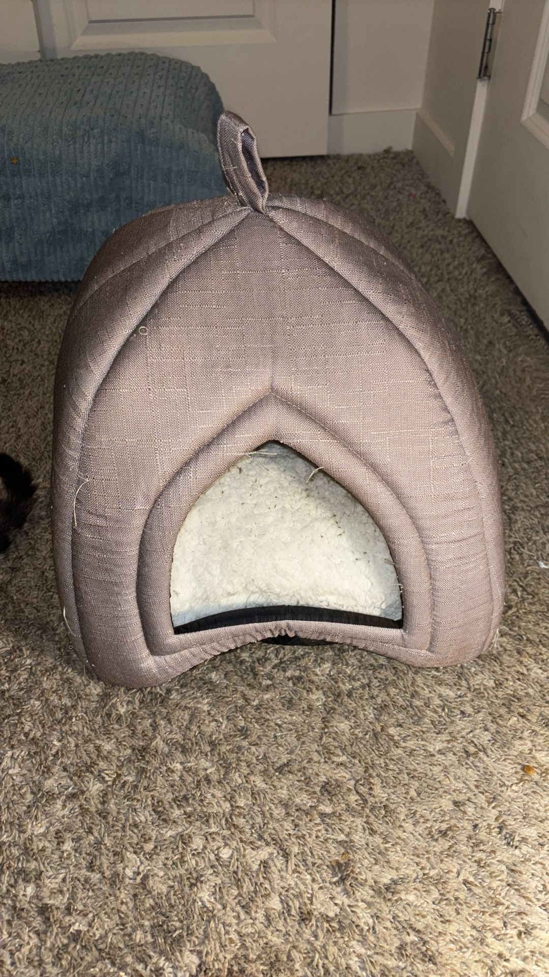 Small Cat House