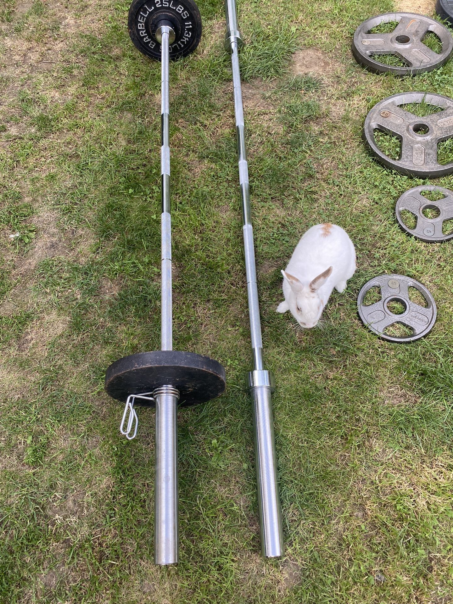 Like New Olympic Barbell - Bar only (7ft , 45 lbs , 2”)