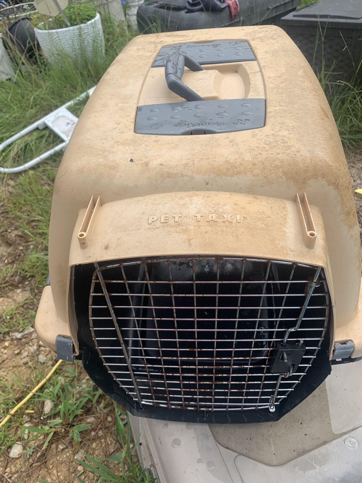 Medium Dog Kennel Cab