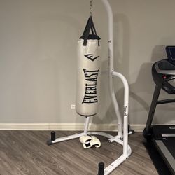 Everlast Punching Bag