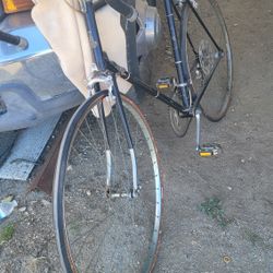 Raleigh Street  Bike 