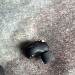Sony Ear Buds