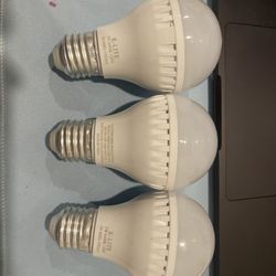 3 Light Bulbs 