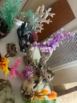 Fish stuff