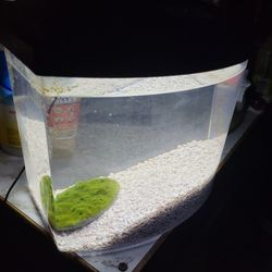 Aqueon LED with SmartClean , 2.5 Gallon

