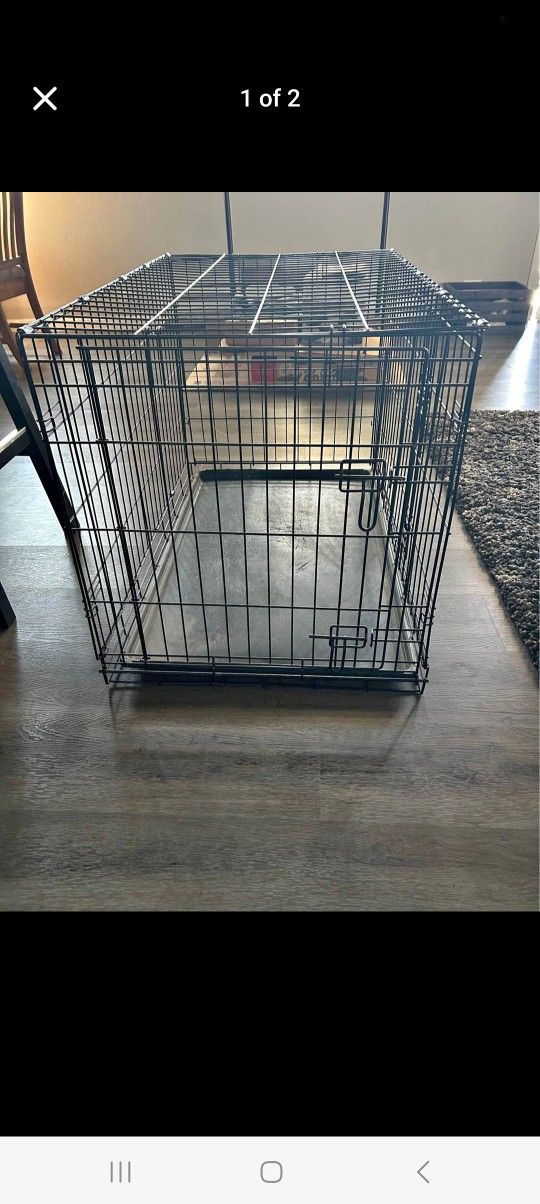 Dog Cage