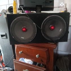 10 In Speakers DS 18 Pros