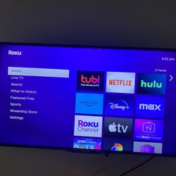 TV + Roku Device (40 Inches)