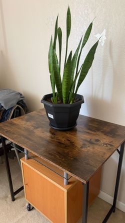 Industrial Desk H29", W32", D23.5"