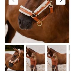 Horse  Halter