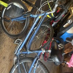 womens bike ( holds up to 400 pounds)