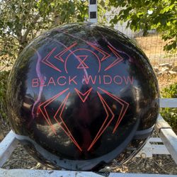Hammer Black Widow 2.0 Solid (15lbs)