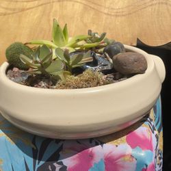 Ceramic Succulent Pot