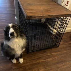 Dog Crate Table Top