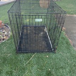 Large Dog Crate