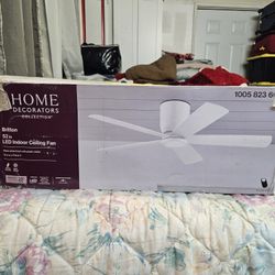 Indoor Ceiling Fan 