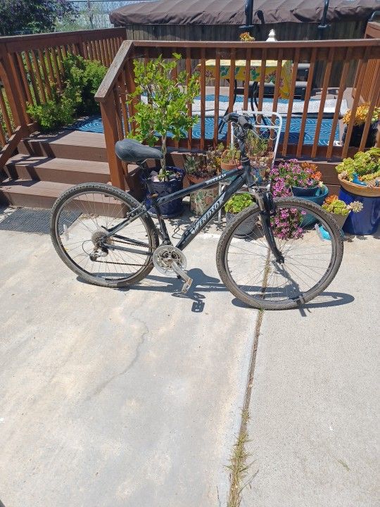 Used 21 Speed Comfort Bike
